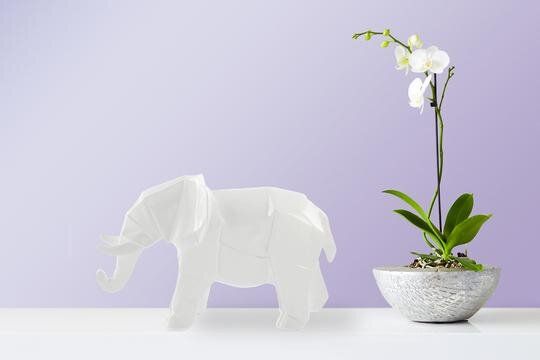 Декоративная фигурка слона Elephant 120 Белый
