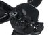 Фігурка декоративна Kayoom Chihuahua 120 Чорний 40 см