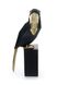 Фигурка птицы тукан Toucan 110 чёрного цвета