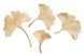 Настенный декор экзотические листья Shells Asia 810 золотистый